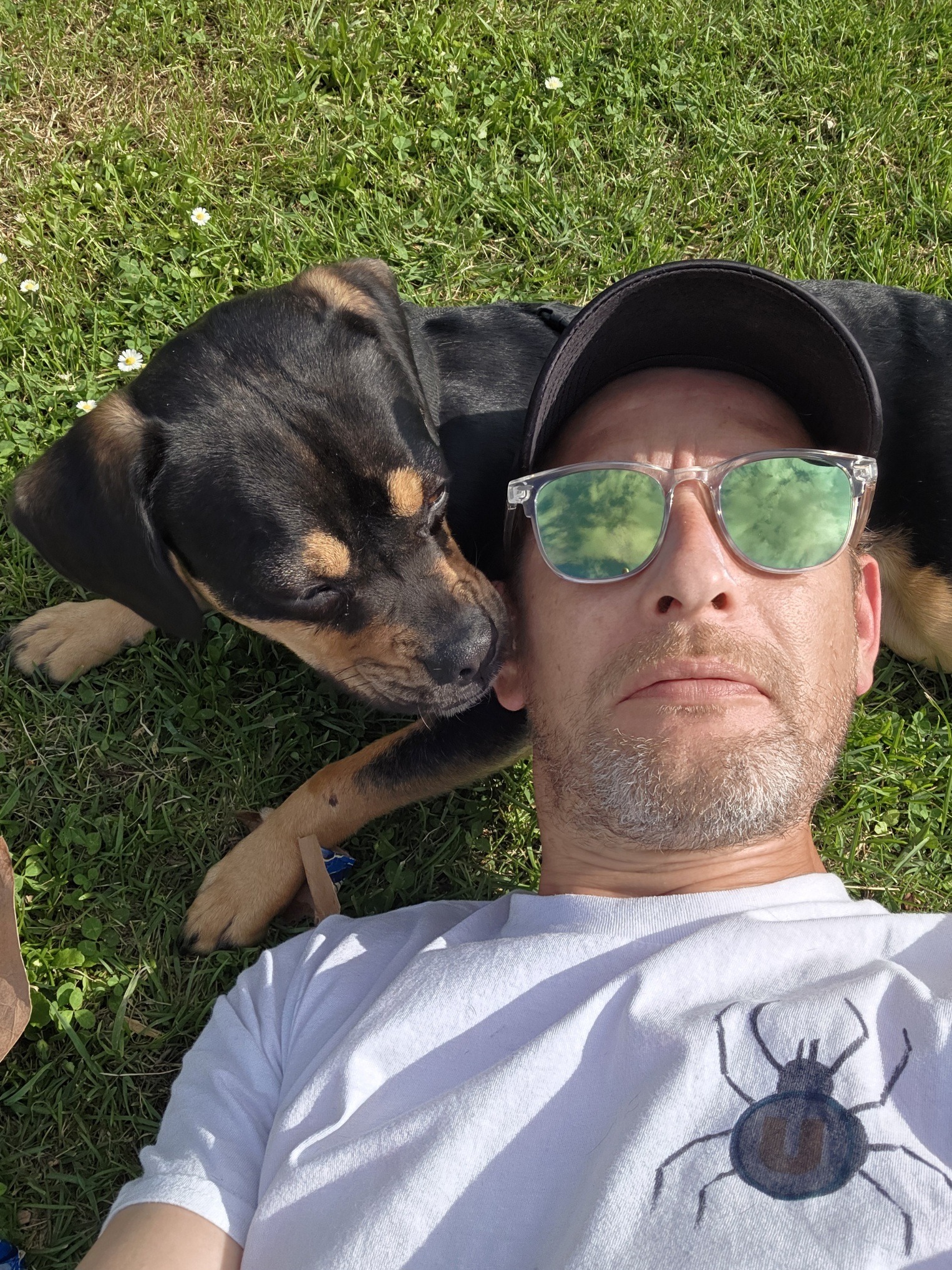 Profil de Ilwan, 41 ans, Gay Monaco à Offekerque